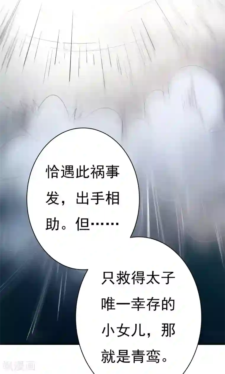 两生花开第19话 青鸾与沐