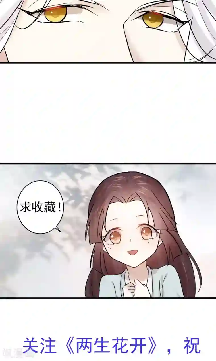 两生花开第19话 青鸾与沐