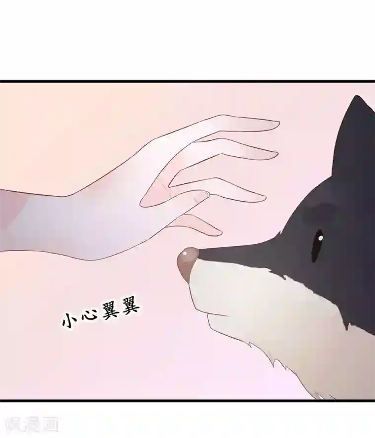 糖果恋人第16话 又来个撩妹美男