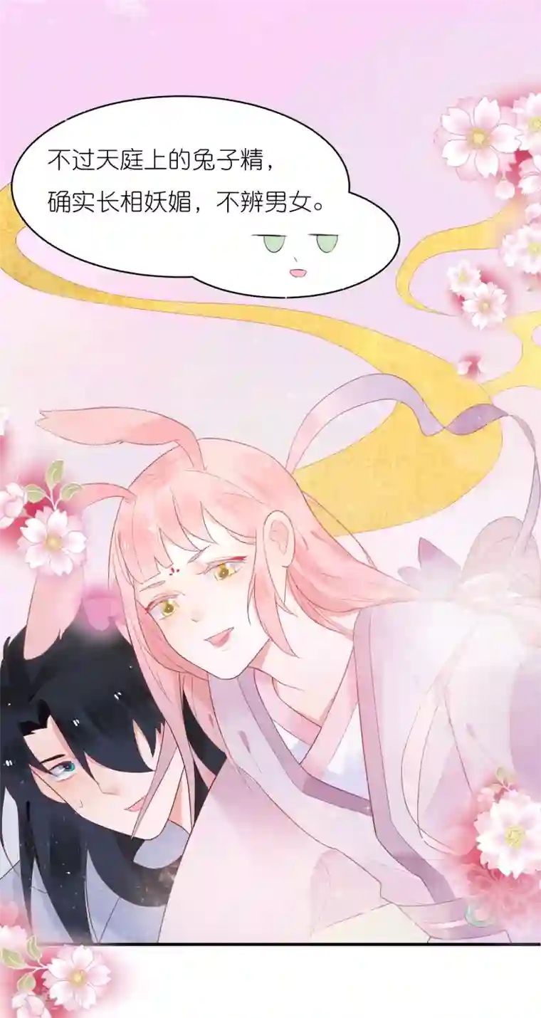 糖果恋人第30话 兔子精多么美