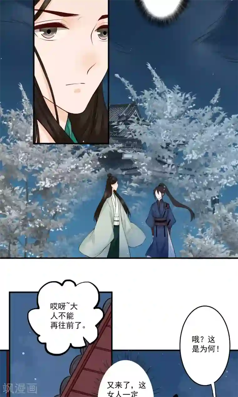 凤凰栖林第18话 白月光