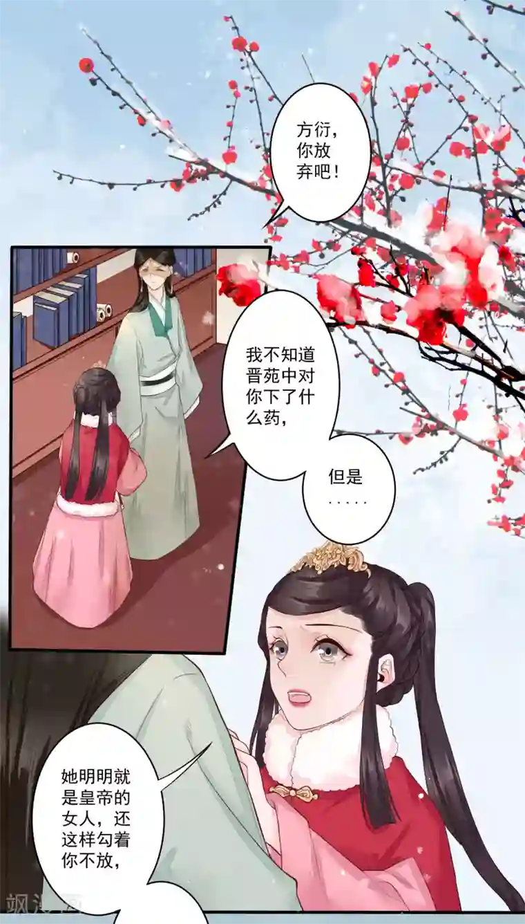 凤凰栖林第20话 事儿精