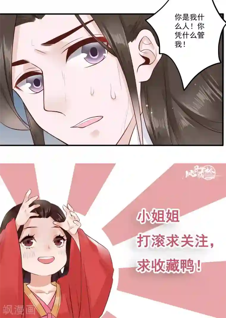凤凰栖林第22话 超越世俗的感情