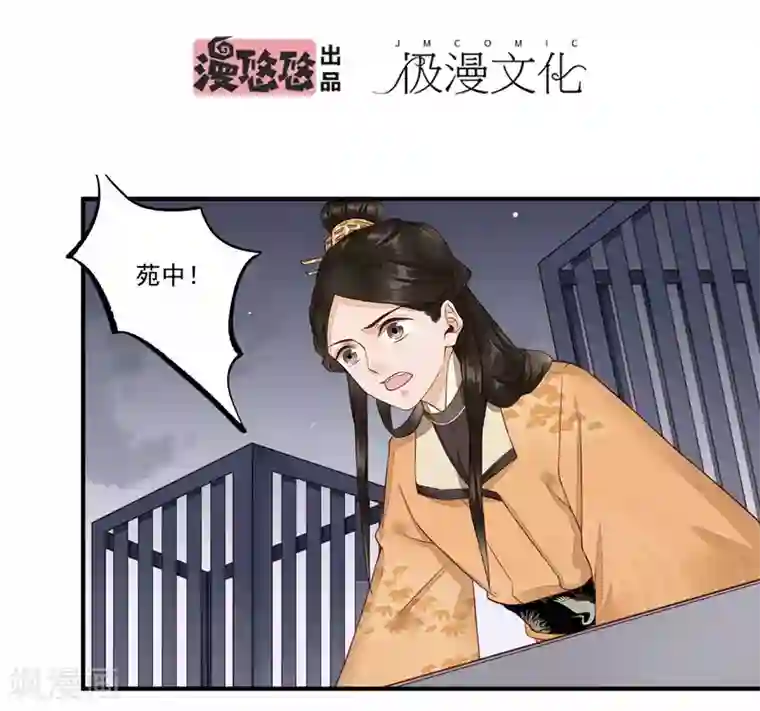 凤凰栖林第31话 归来