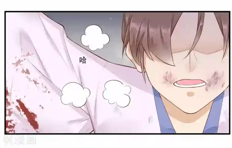 凤凰栖林第31话 归来