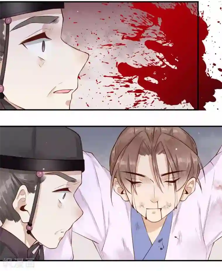 凤凰栖林第31话 归来