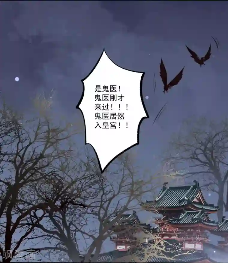 凤凰栖林第31话 归来