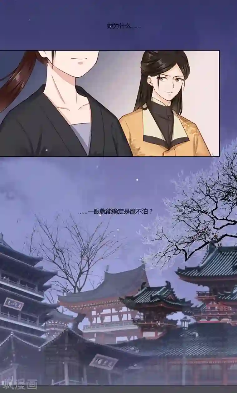 凤凰栖林第36话 落下帷幕