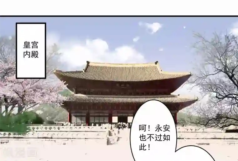 凤凰栖林第37话 惊人的决定