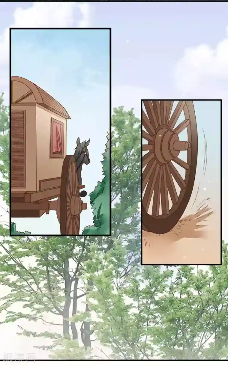 凤凰栖林第38话 毒宗宗主