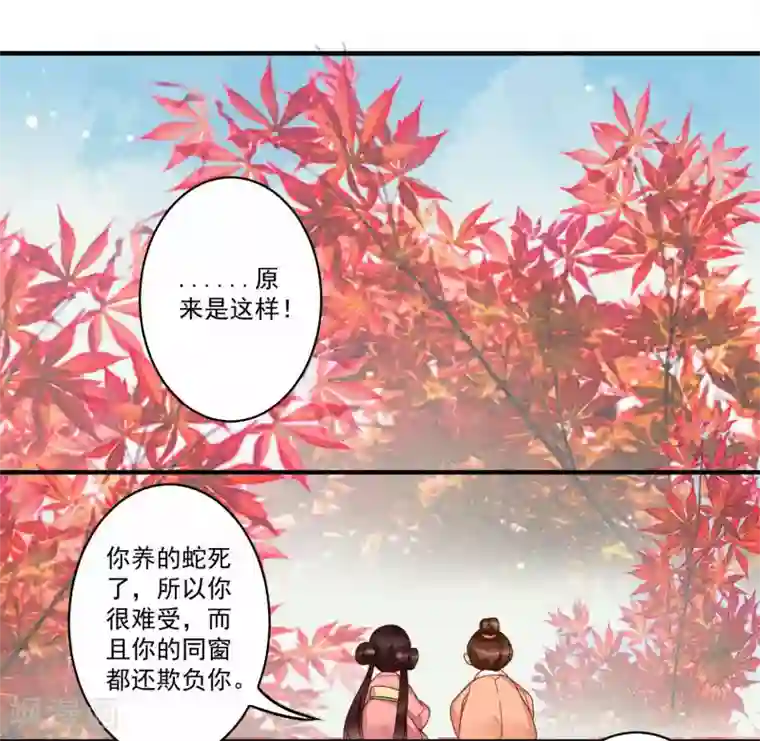 凤凰栖林第42话 与众不同的你