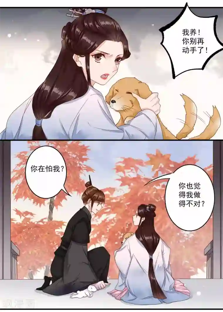 凤凰栖林第42话 与众不同的你