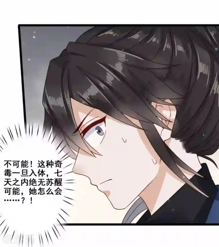 凤凰栖林第45话 光与影