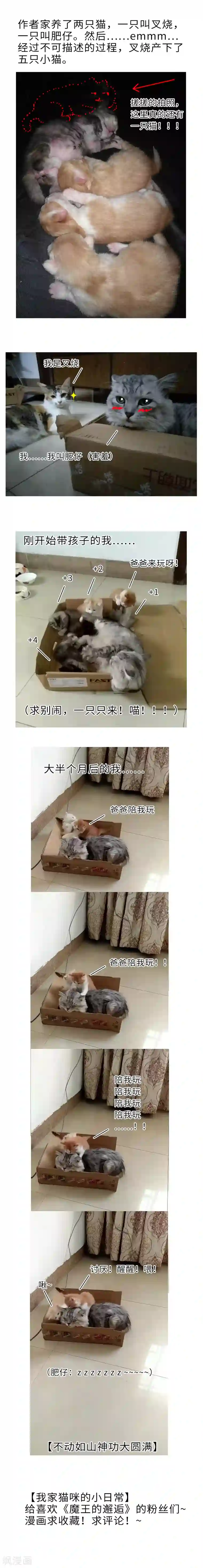 魔王的邂逅第36话