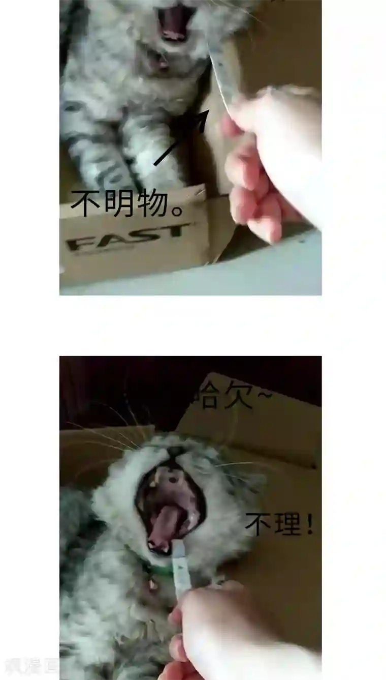 魔王的邂逅第39话