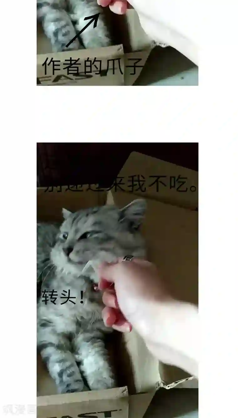 魔王的邂逅第39话