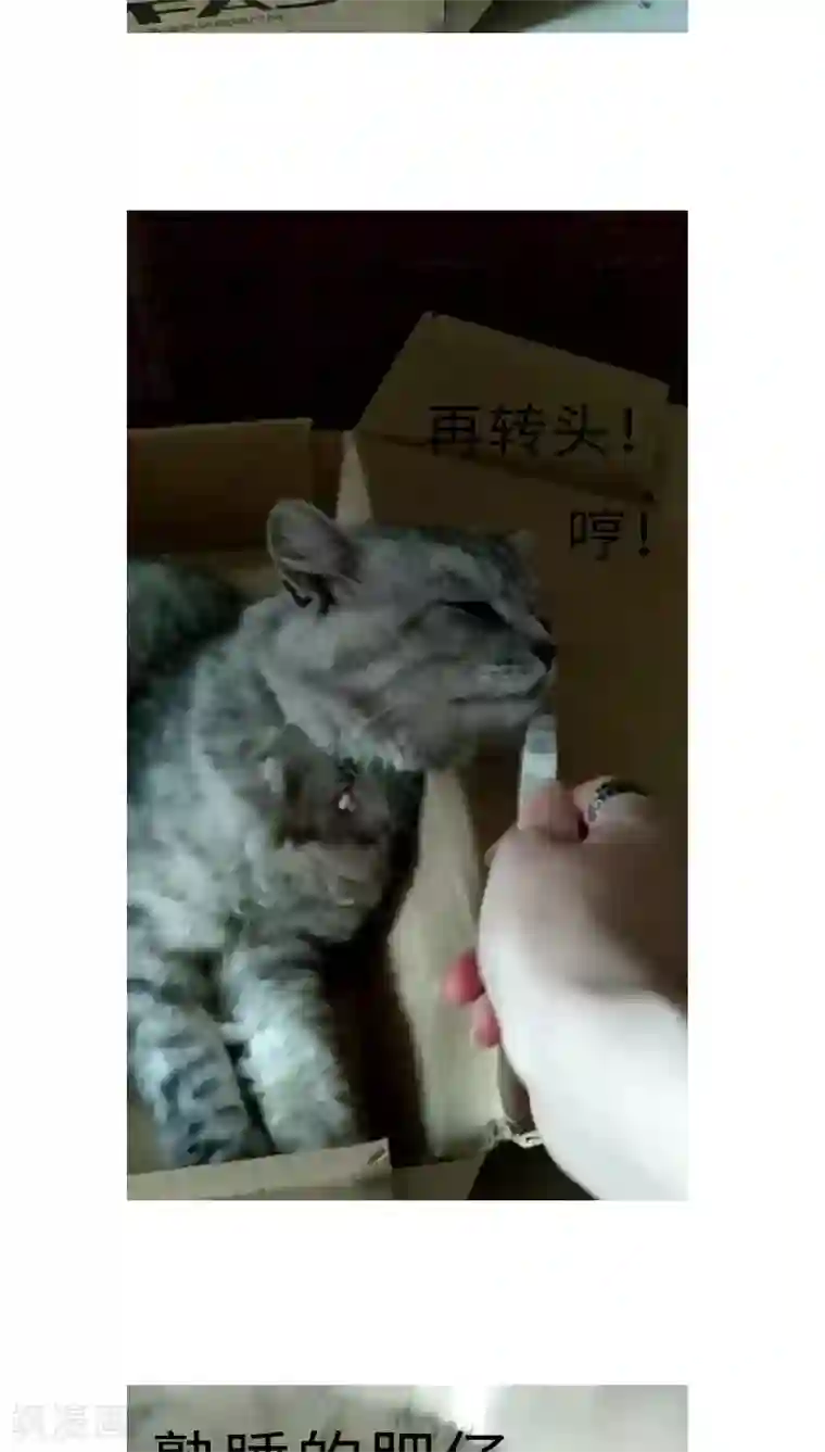 魔王的邂逅第39话