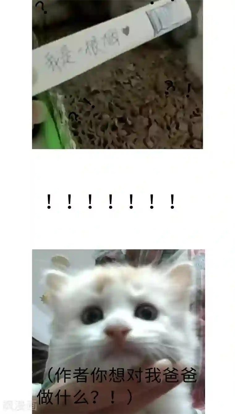 魔王的邂逅第39话