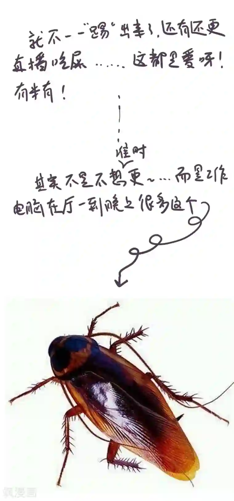 魔王的邂逅第56话