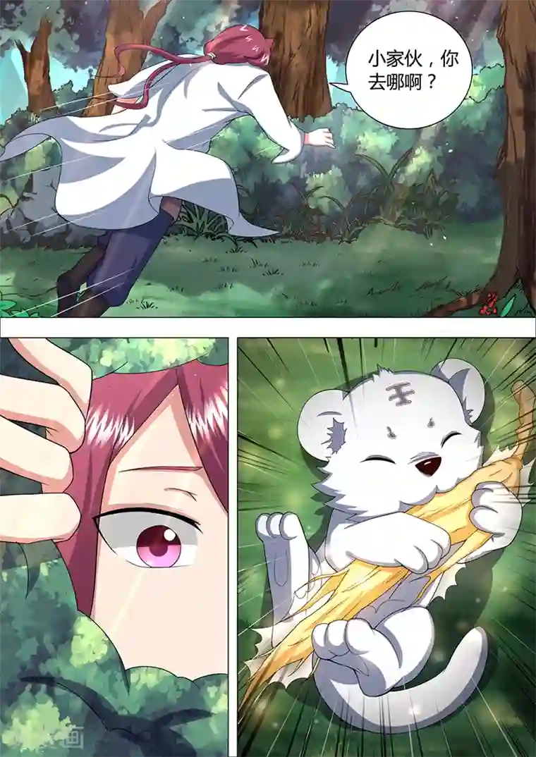 我是霸王第35话 小虎妖