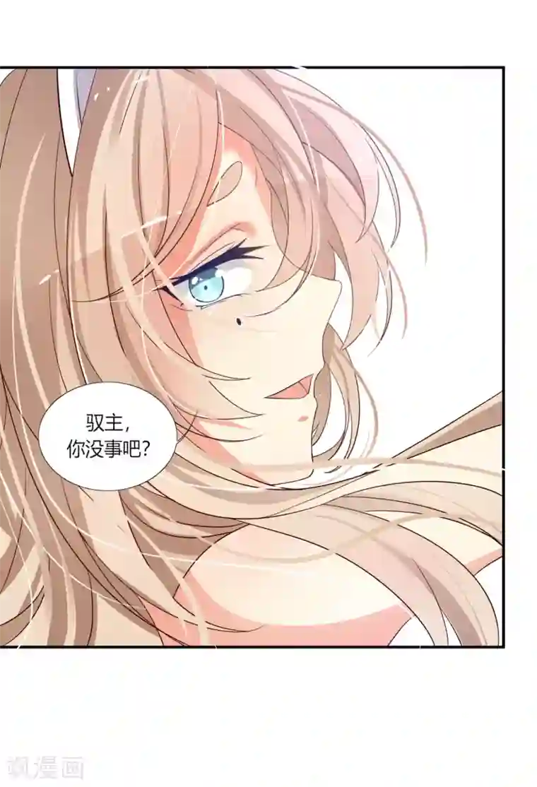 今天开始驭兽娘第1话 归来