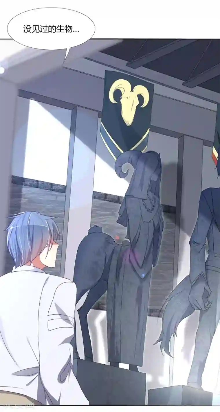 今天开始驭兽娘第5话 过去的事