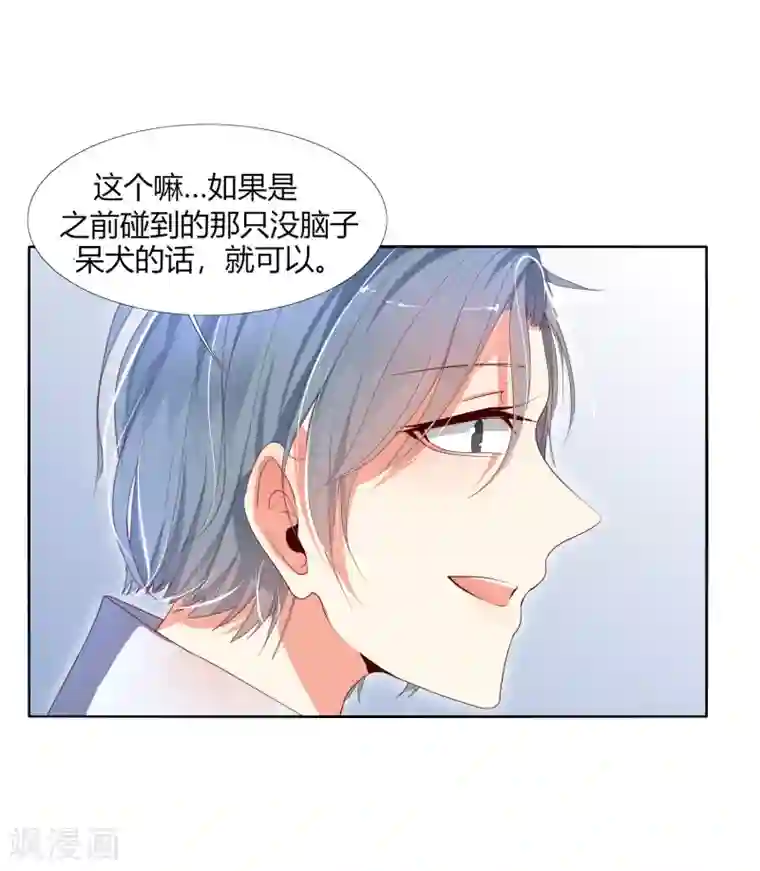 今天开始驭兽娘第10话 如何对付呆犬