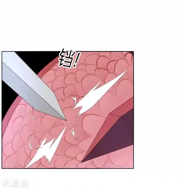 今天开始驭兽娘第11话 为了王的宏图