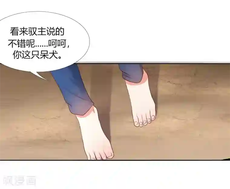 今天开始驭兽娘第11话 为了王的宏图