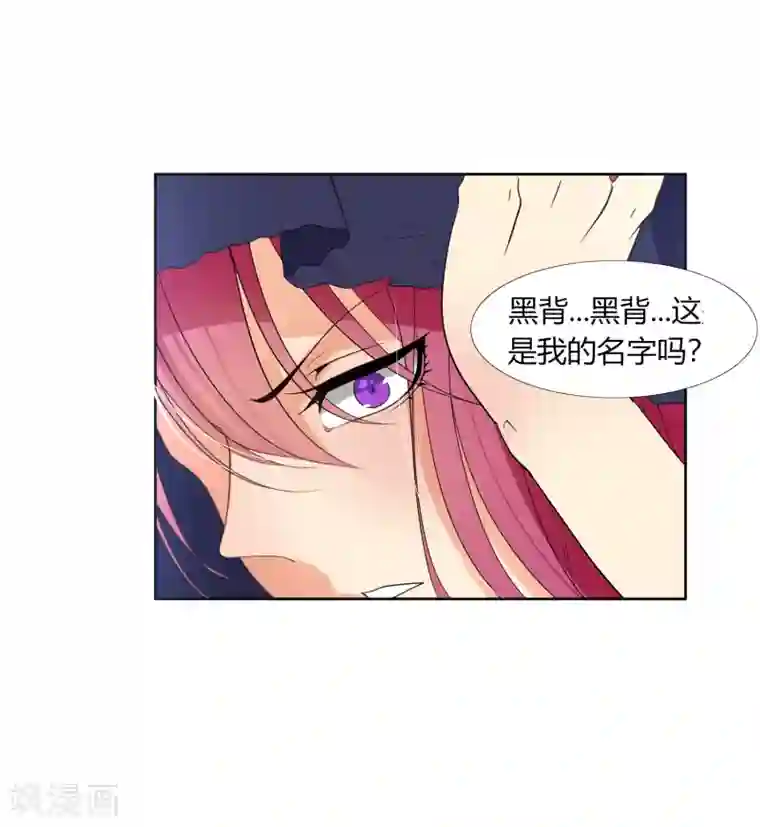 今天开始驭兽娘第31话 执行歼灭