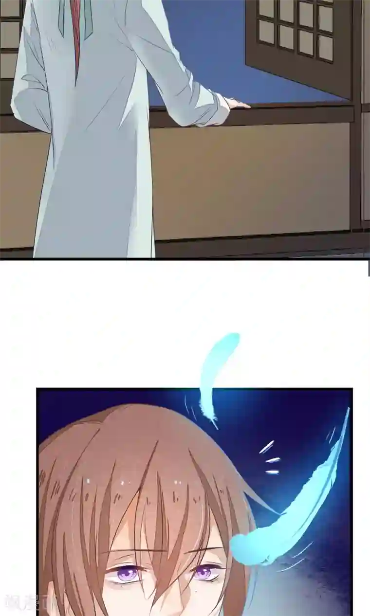 红妆异事第3话 鸟妖和报恩