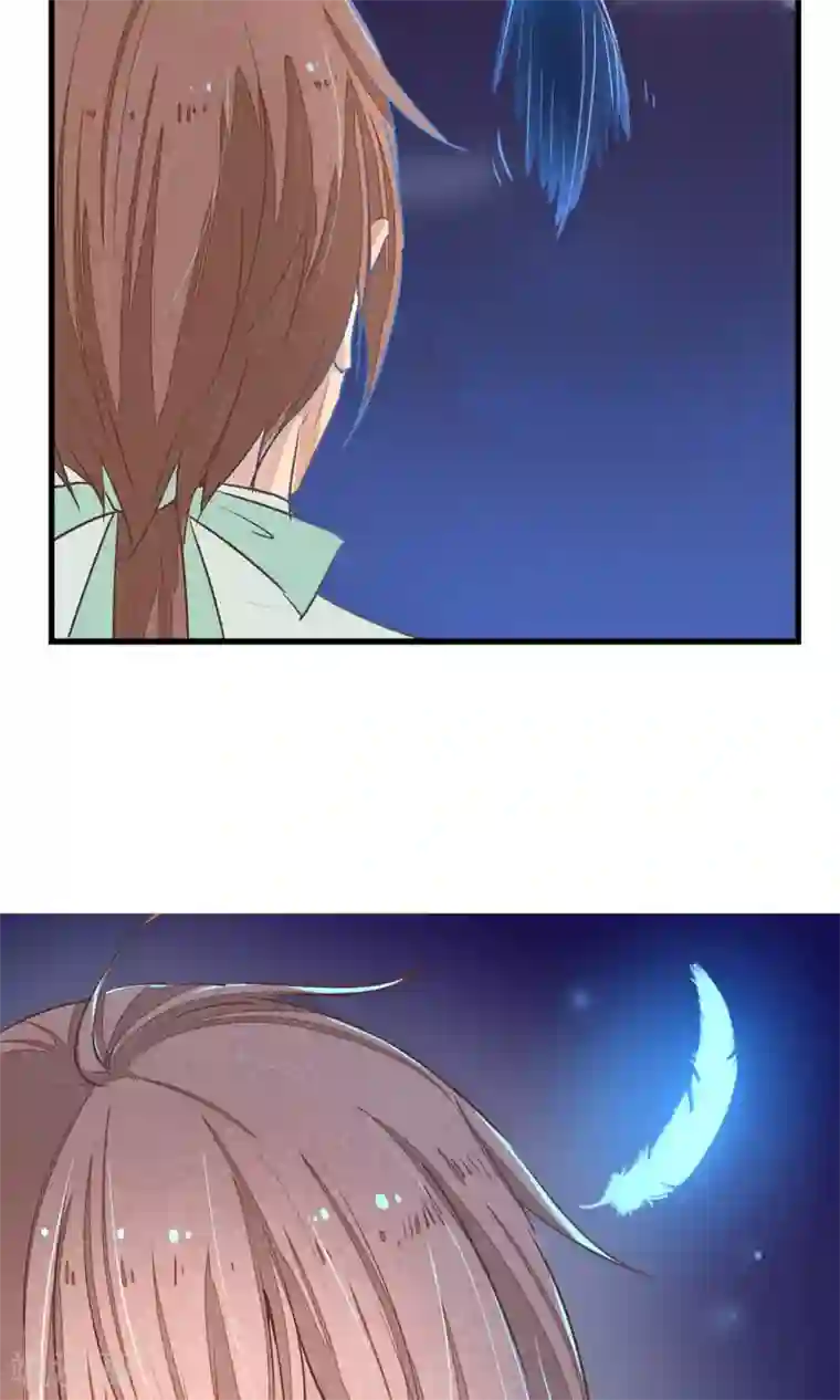 红妆异事第3话 鸟妖和报恩