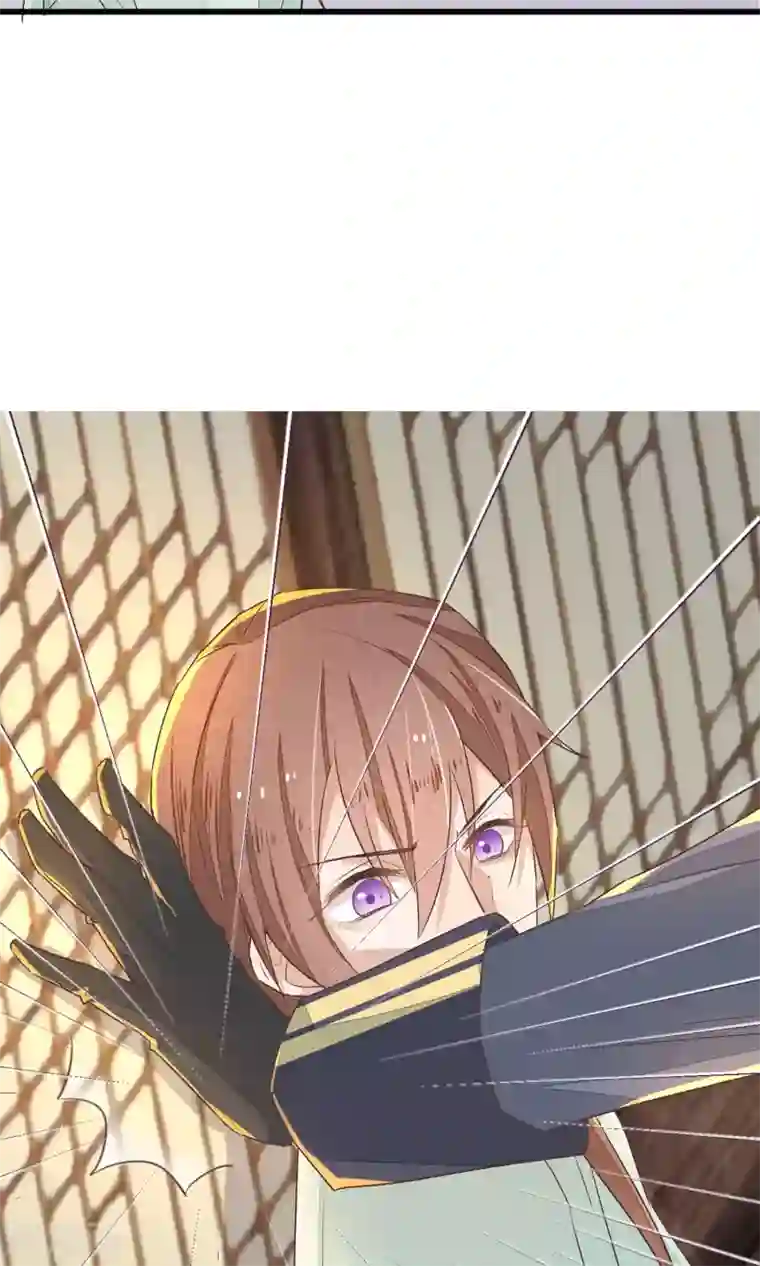 红妆异事第3话 鸟妖和报恩