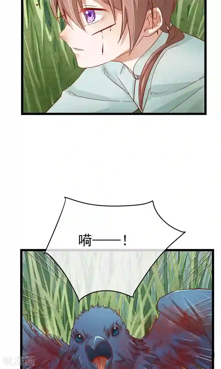 红妆异事第5话 这一切与你有关