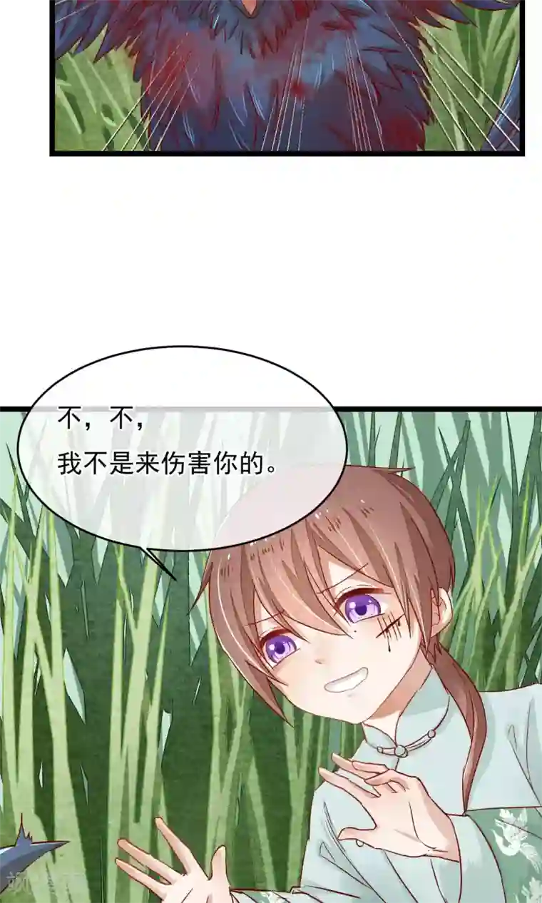 红妆异事第5话 这一切与你有关