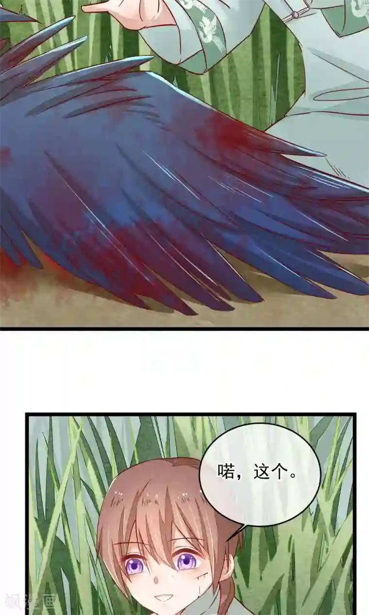 红妆异事第5话 这一切与你有关