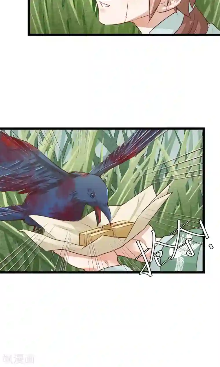 红妆异事第5话 这一切与你有关