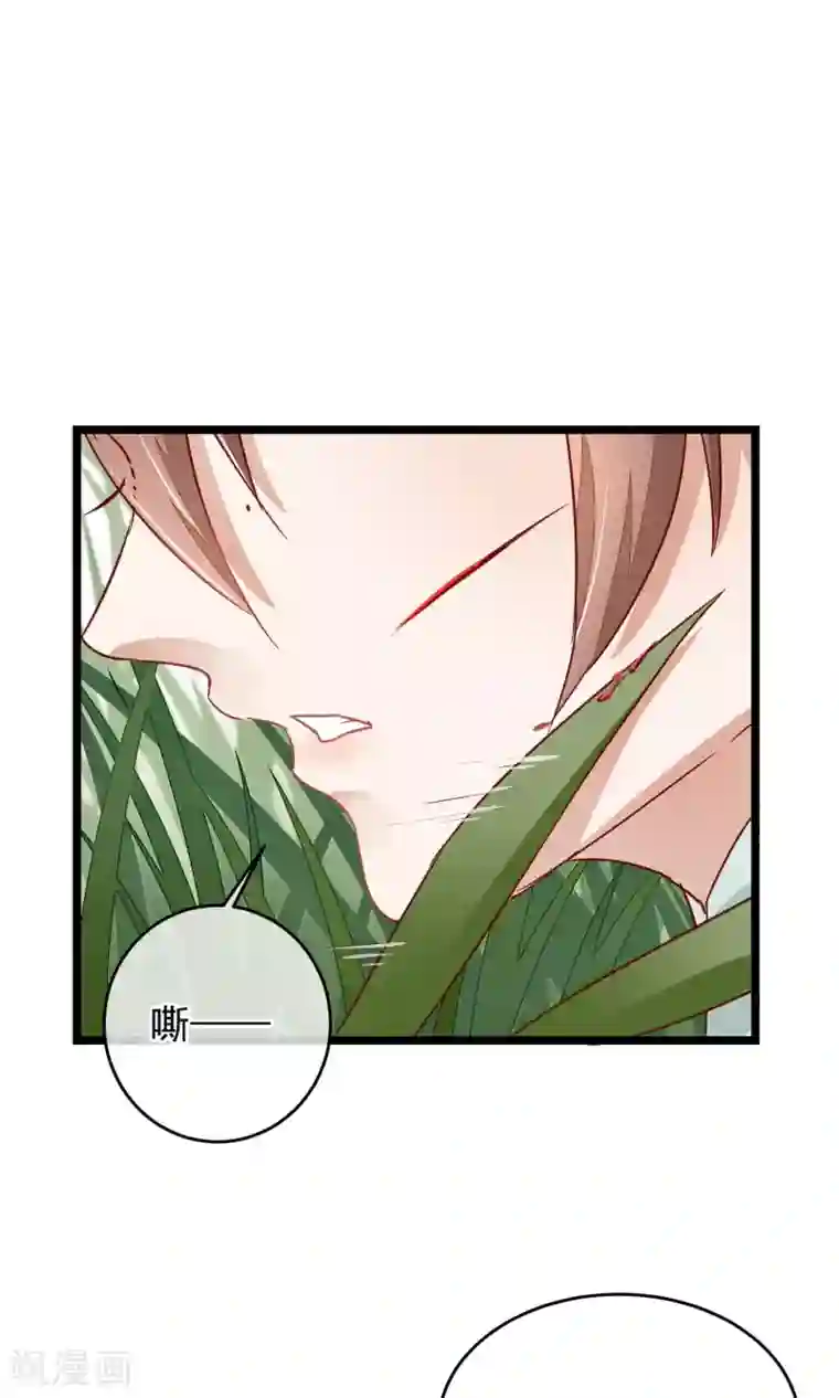 红妆异事第5话 这一切与你有关