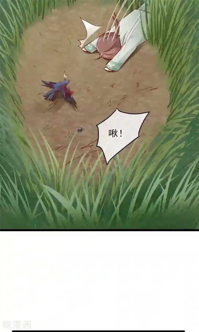 红妆异事第5话 这一切与你有关