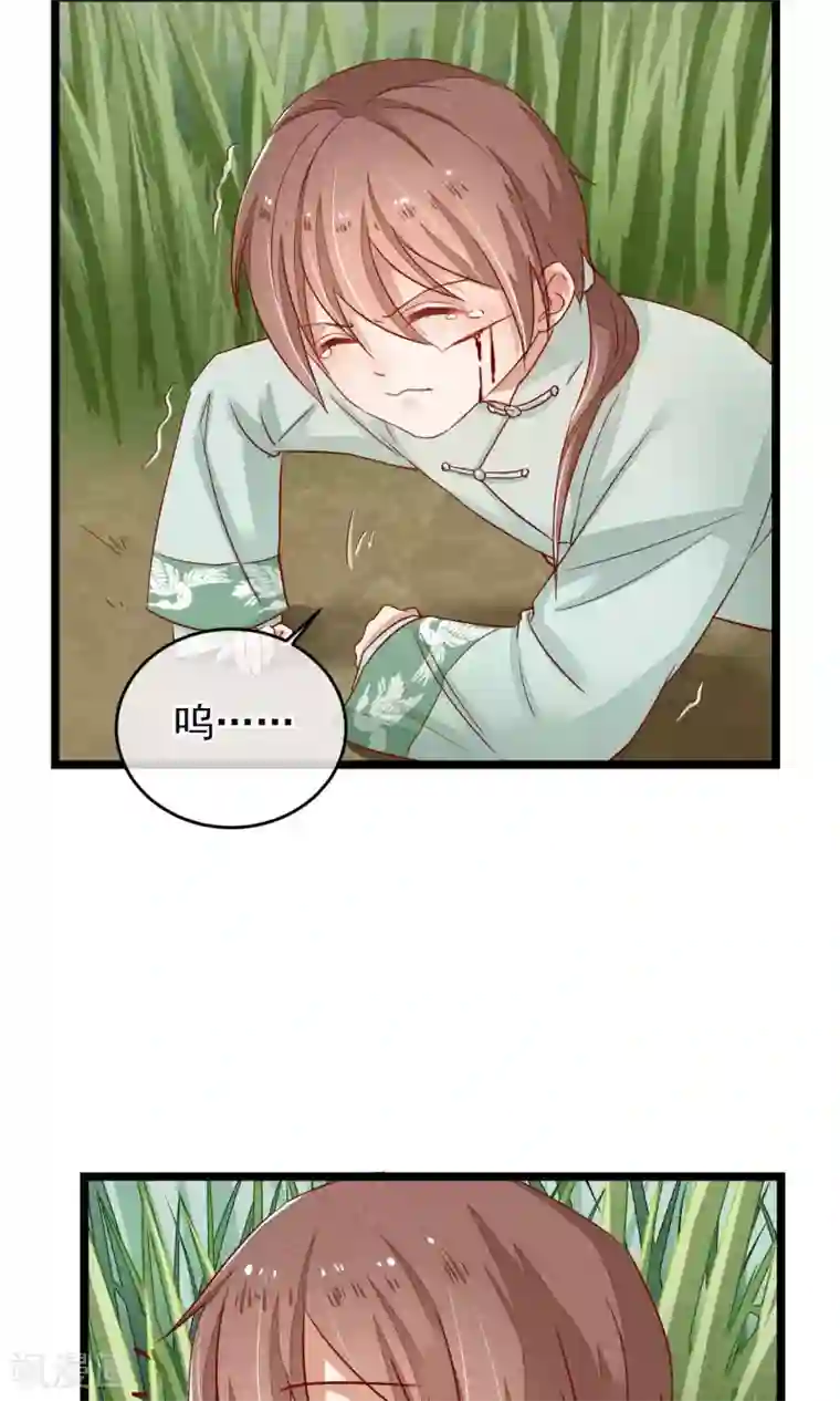 红妆异事第5话 这一切与你有关