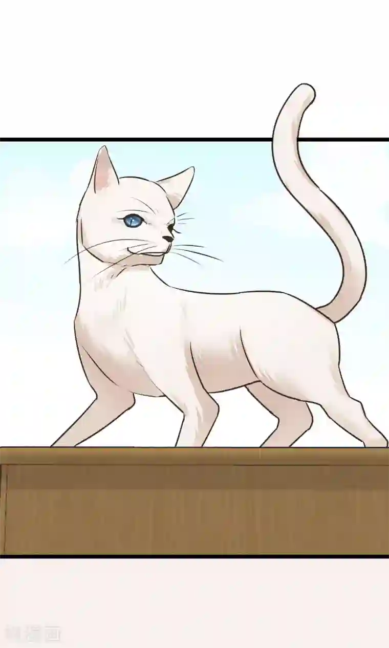 红妆异事第21话 寻找老大爷