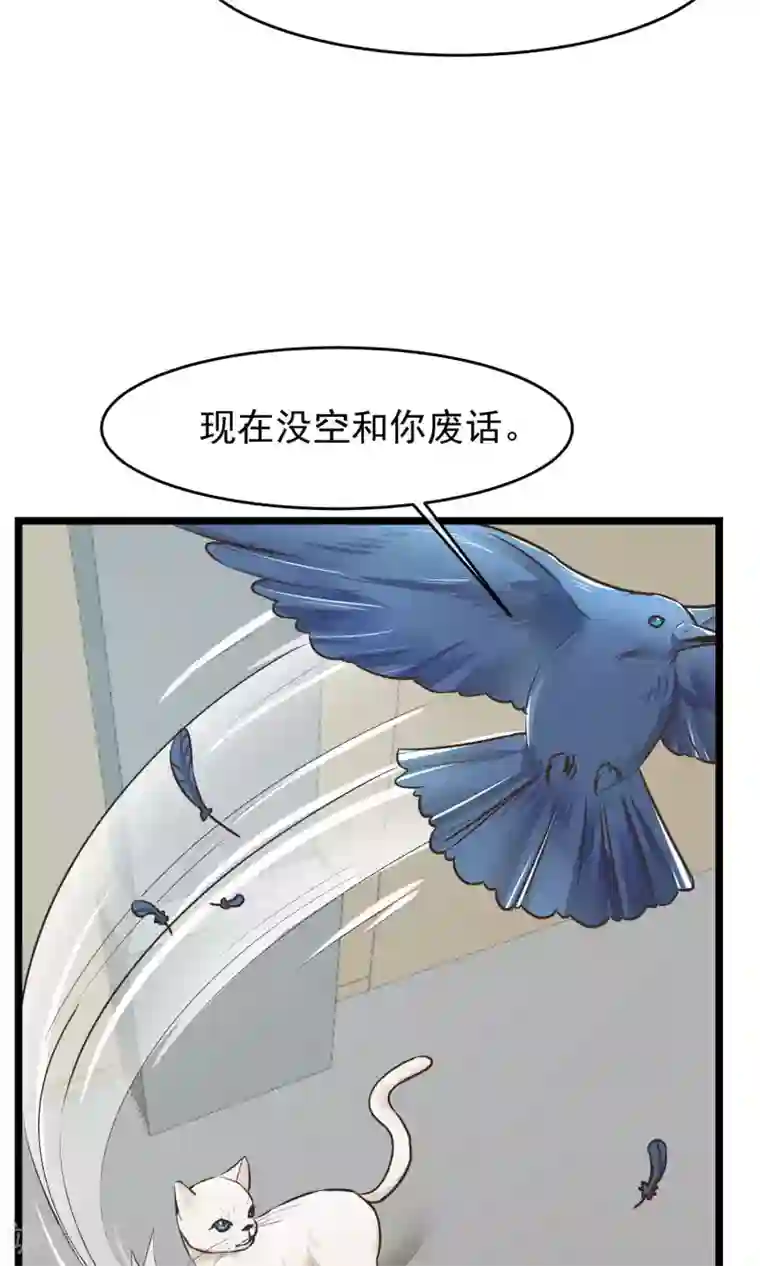 红妆异事第21话 寻找老大爷