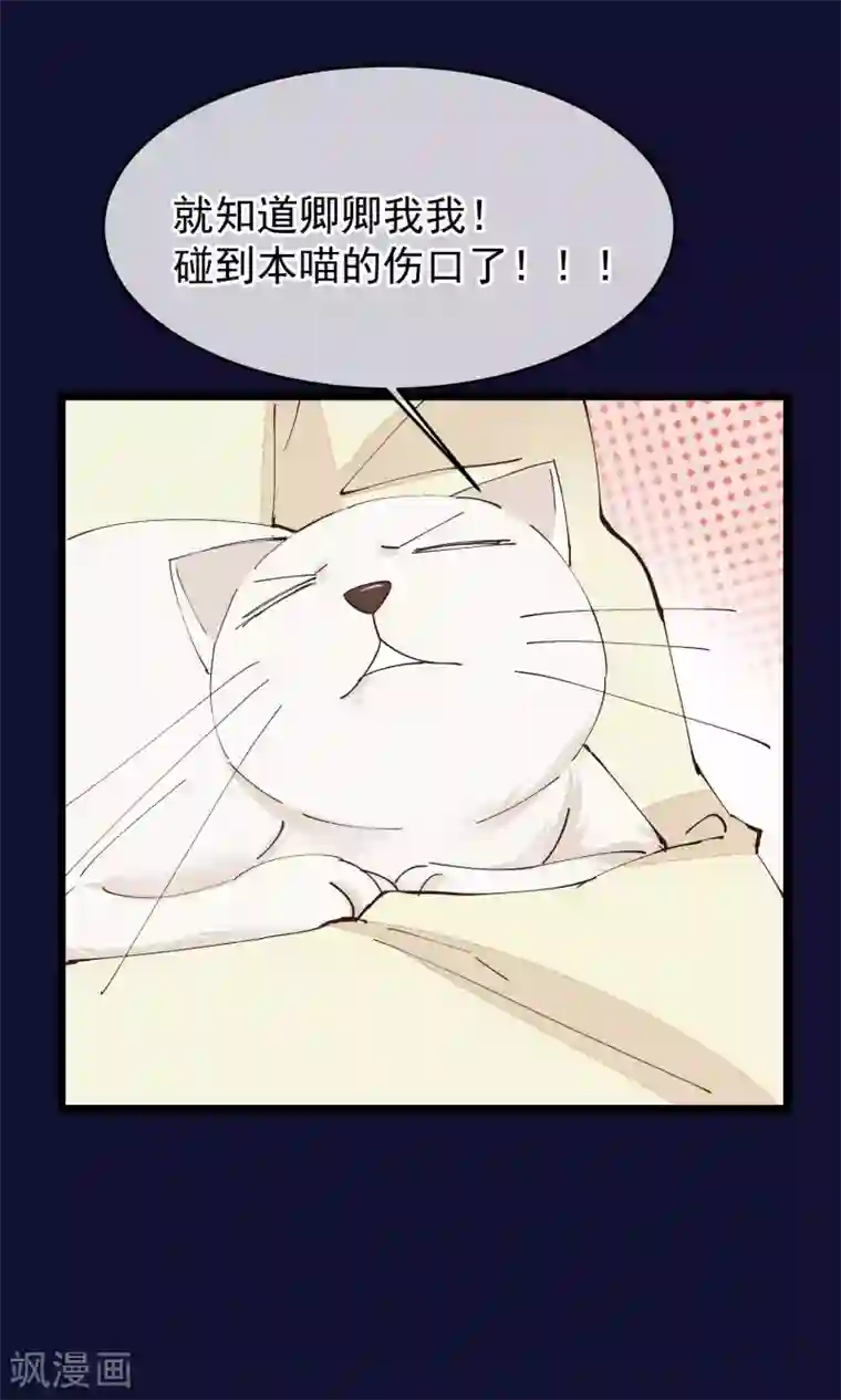 红妆异事第26话 做你想做的事