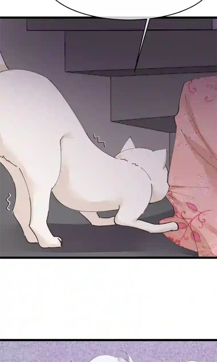 红妆异事第29话 小桃红再次遇难