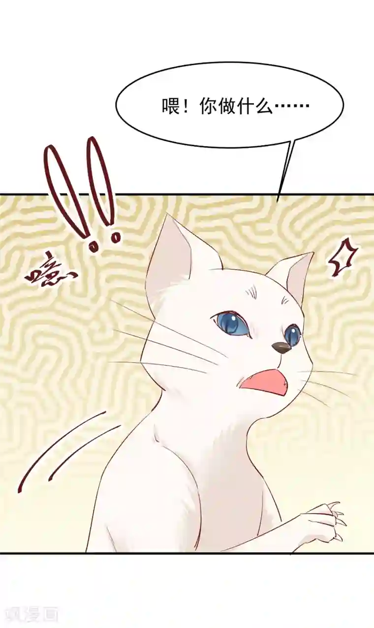 红妆异事第34话 斗戏