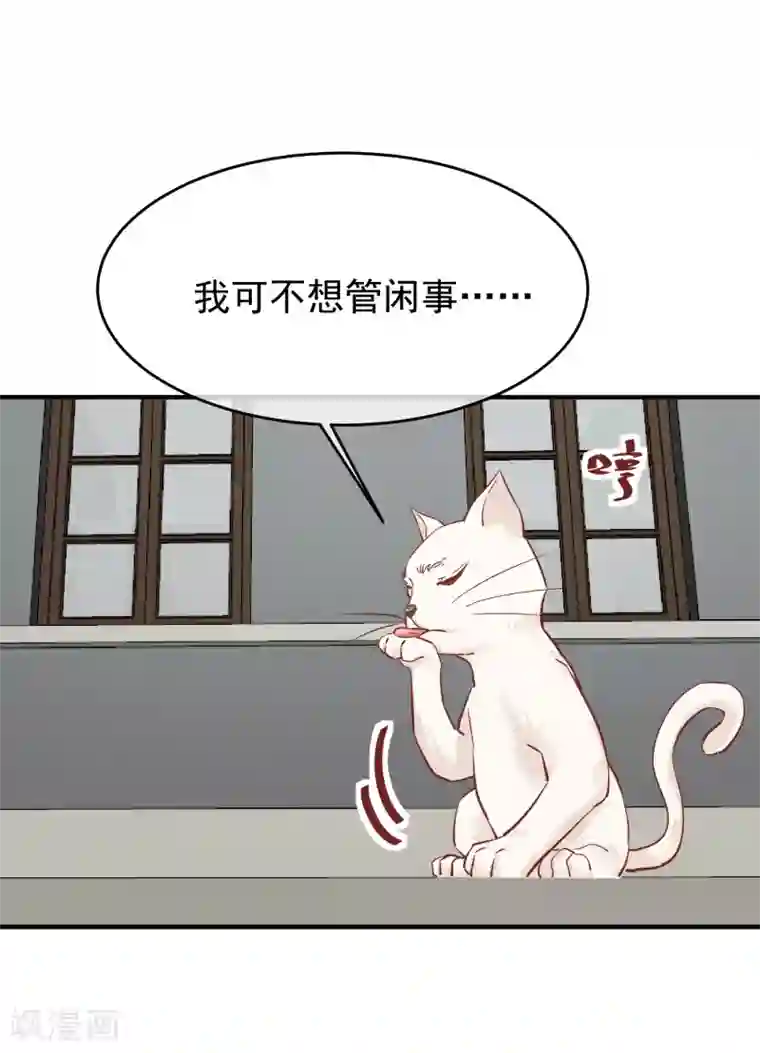 红妆异事第34话 斗戏