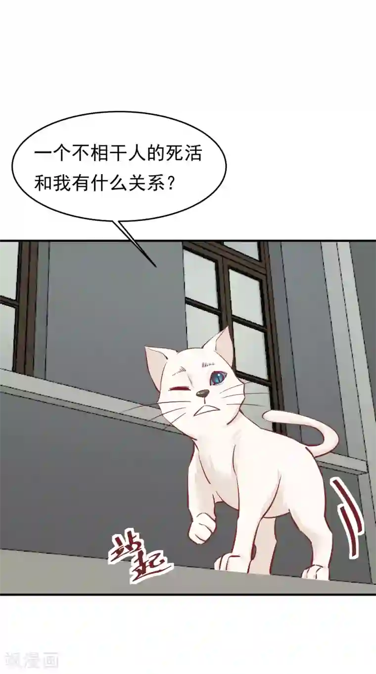 红妆异事第34话 斗戏