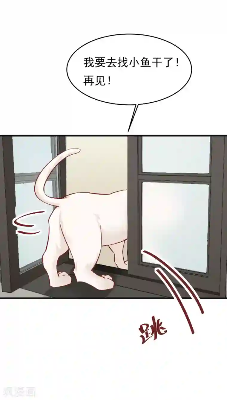 红妆异事第34话 斗戏