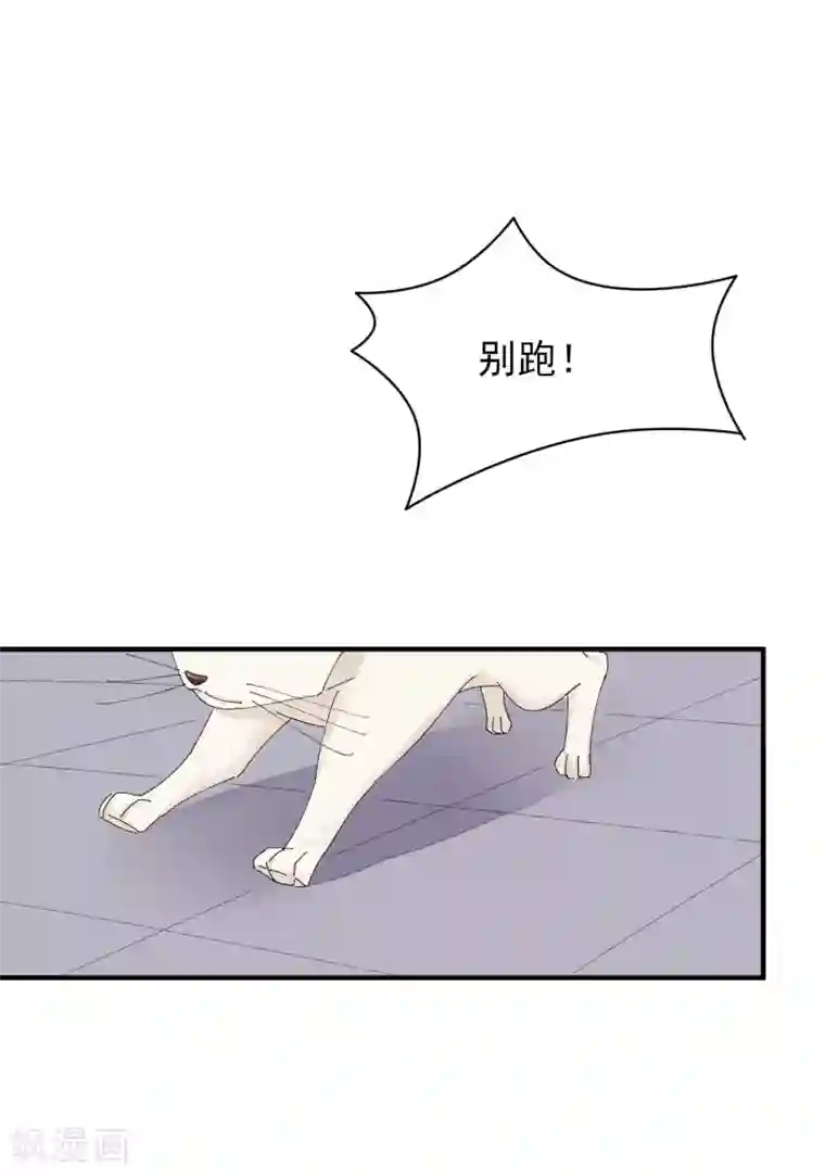 红妆异事最终话 绝美戏子