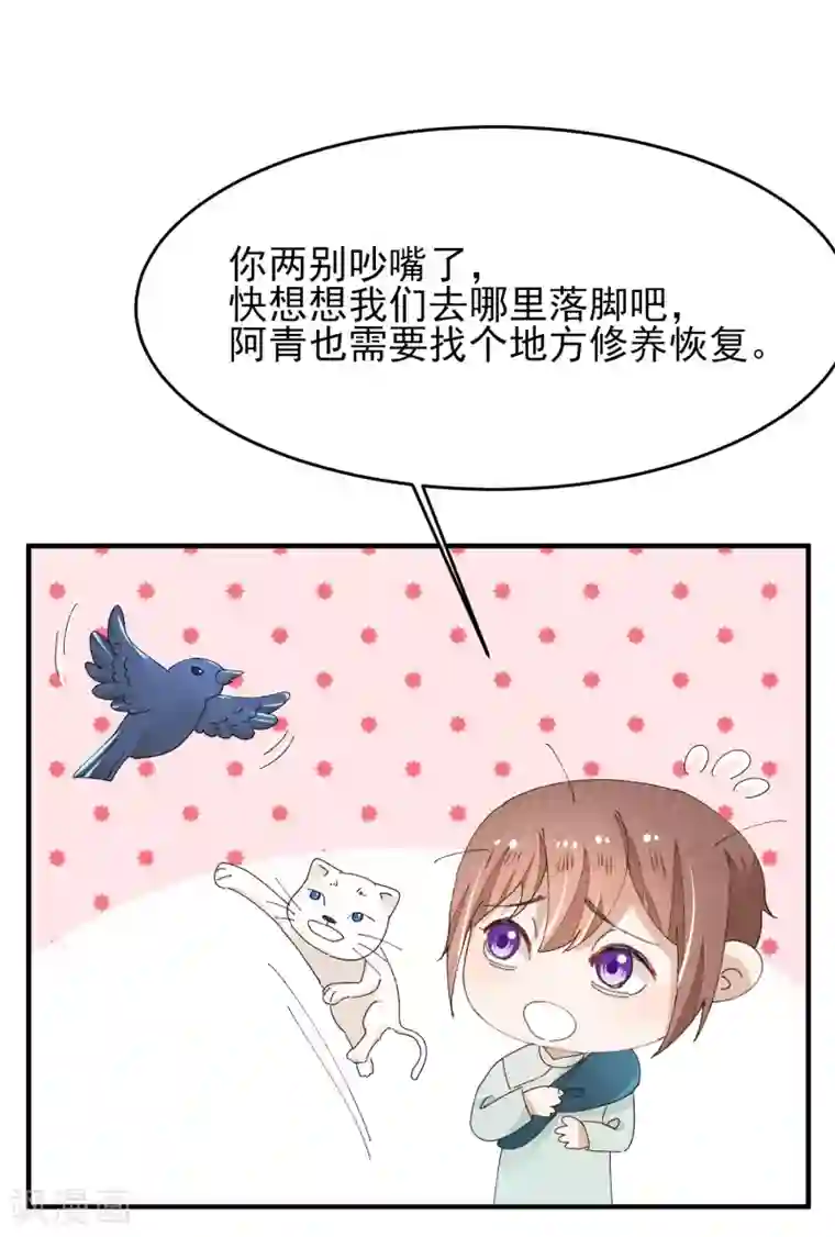 红妆异事最终话 绝美戏子